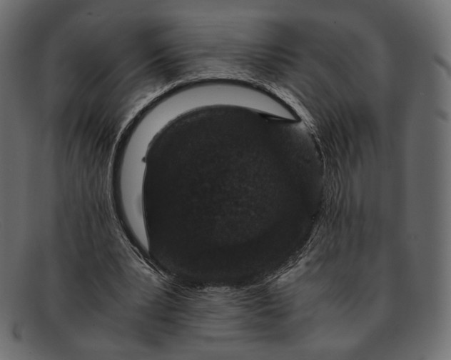 X0000091920391200709191344