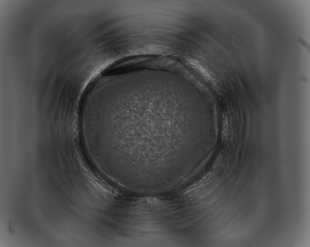 X0000091920392200709191344