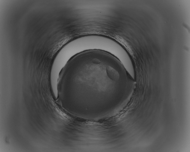 X0000091920393200709191343