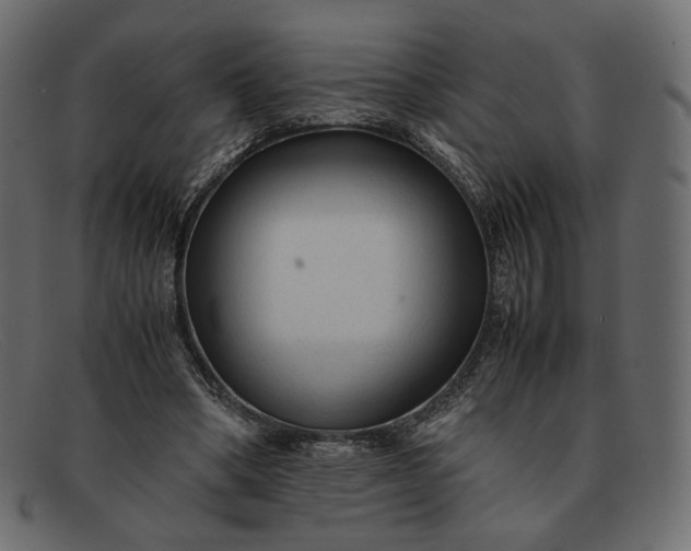 X0000091920394200709191343