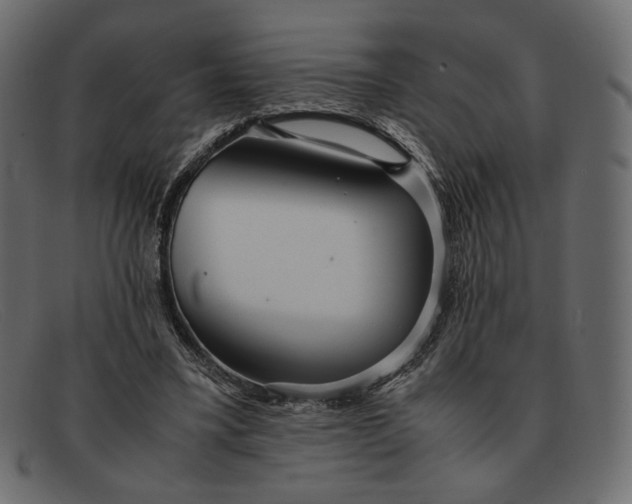 X0000091920395200709191343