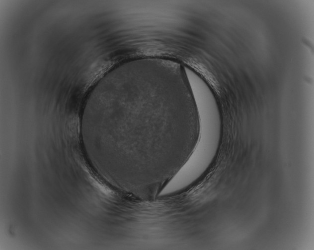 X0000091920397200709191343