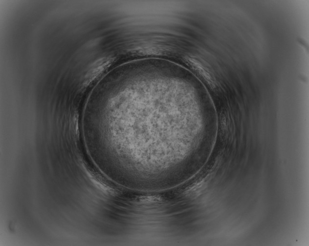 X0000091920398200709191343