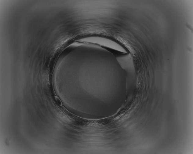 X0000091920399200709191343