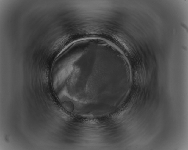 X0000091920402200709191343