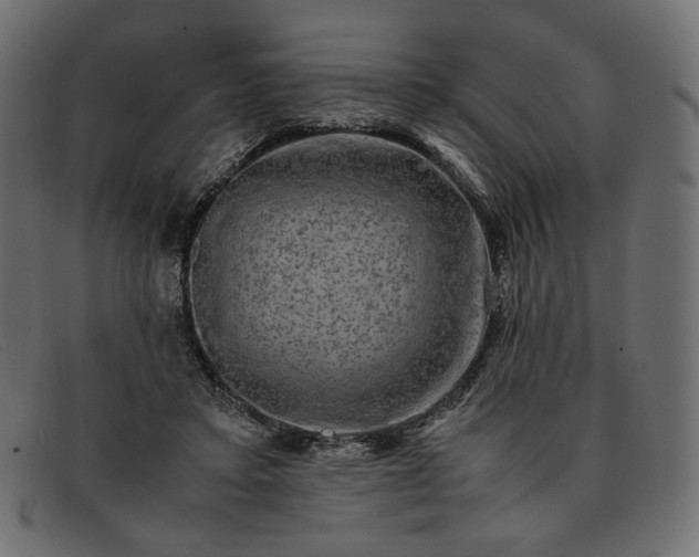 X0000091920403200709191343