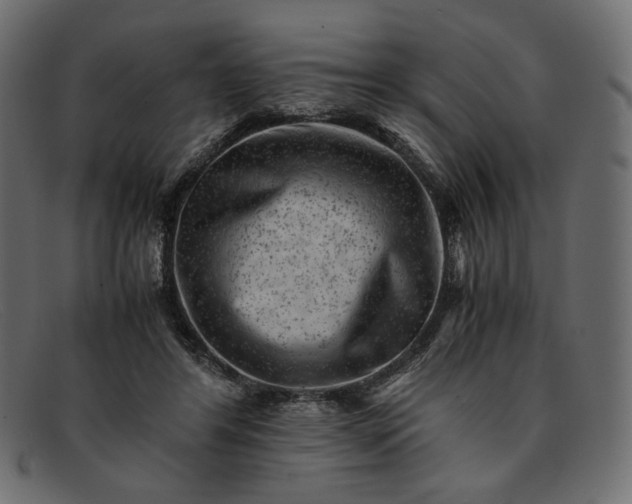 X0000091920404200709191343