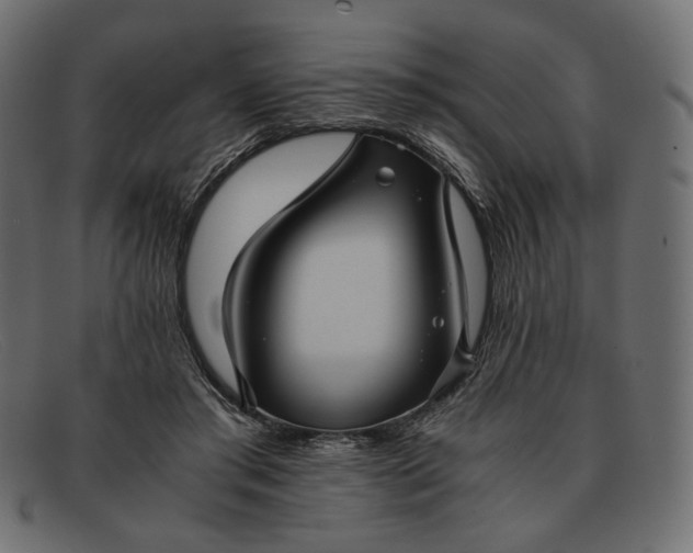 X0000091920405200709191343