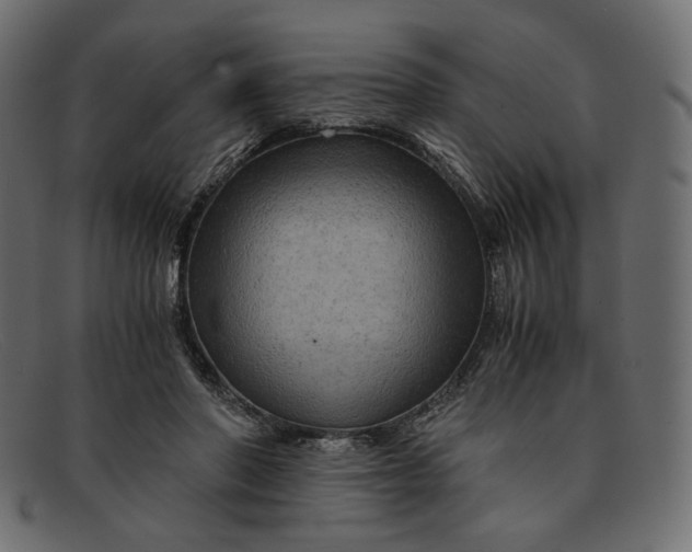 X0000091920406200709191343