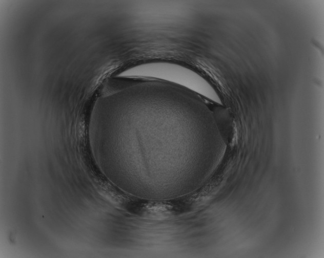 X0000091920407200709191343