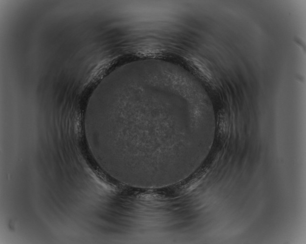 X0000091920408200709191343