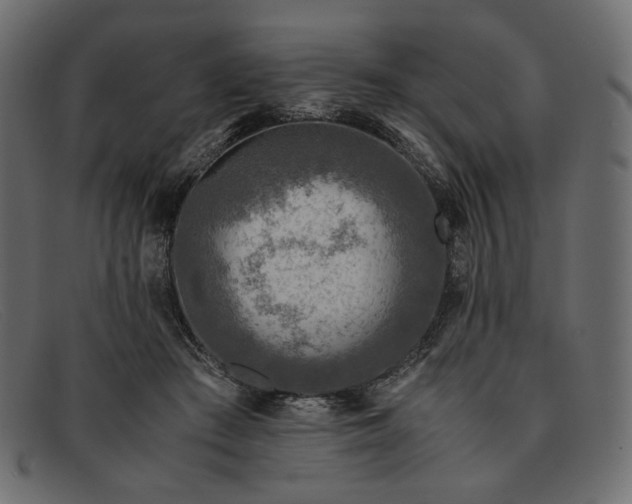 X0000091920409200709191343