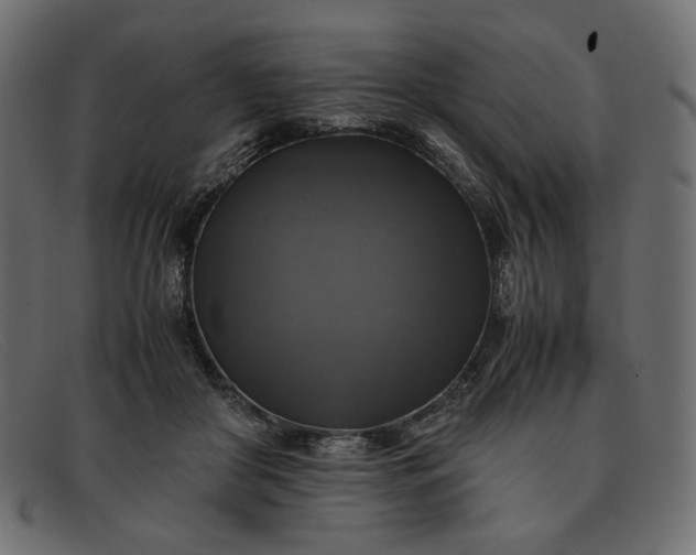 X0000091920410200709191343