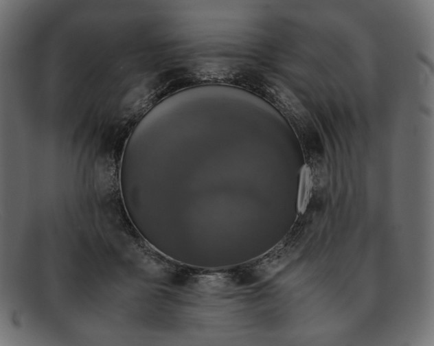 X0000091920411200709191343