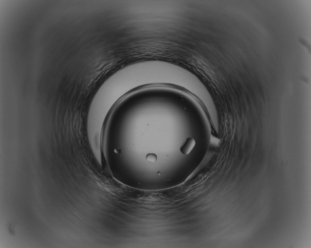 X0000091920412200709191343