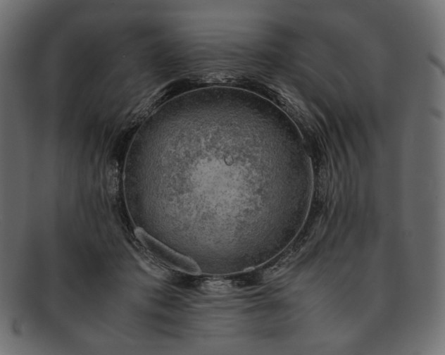 X0000091920413200709191343