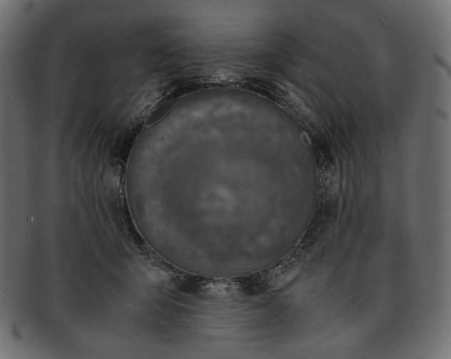 X0000091920415200709191343