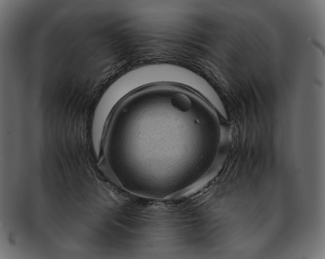 X0000091920416200709191343