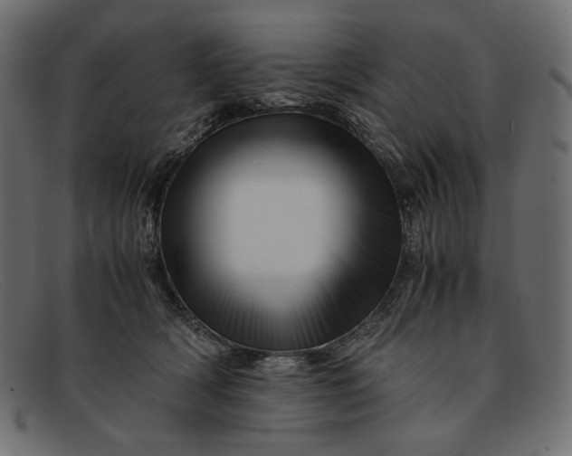 X0000091920418200709191343