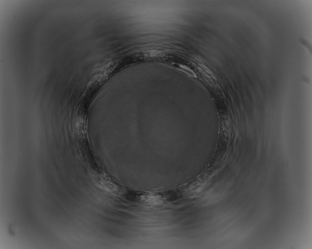 X0000091920419200709191343