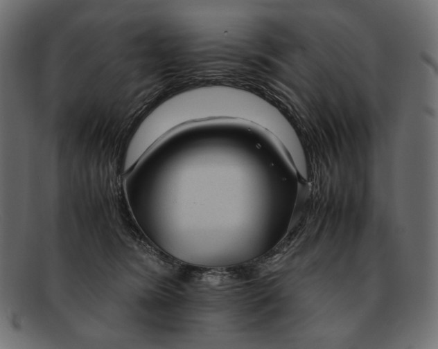 X0000091920420200709191343