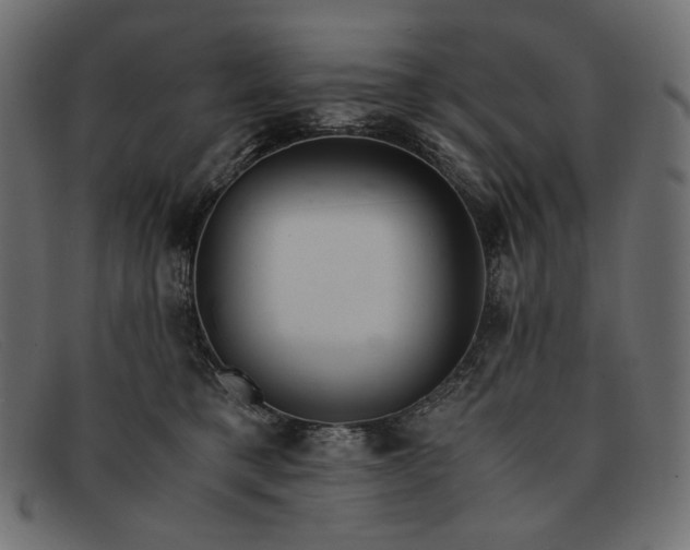 X0000091920421200709191343