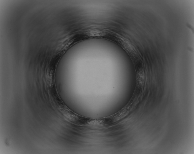 X0000091920422200709191343