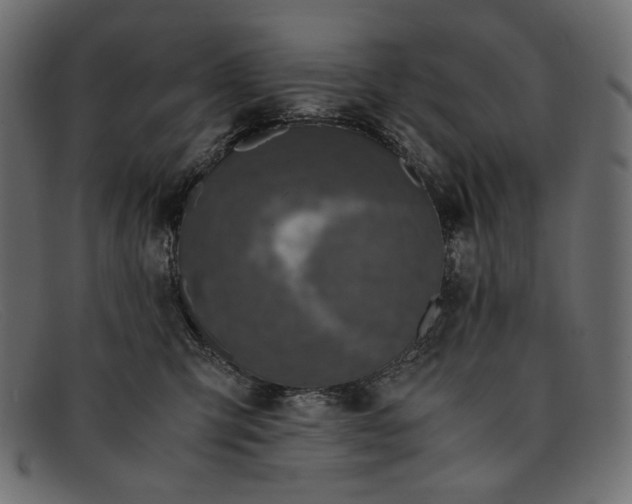 X0000091920423200709191343