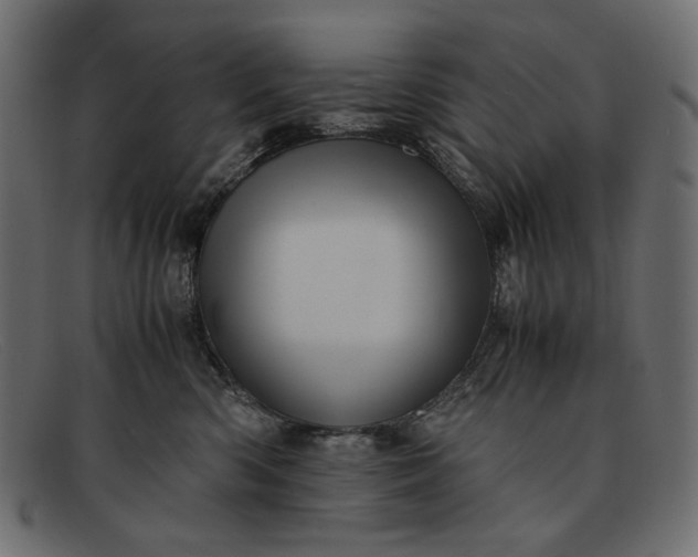 X0000091920426200709191343