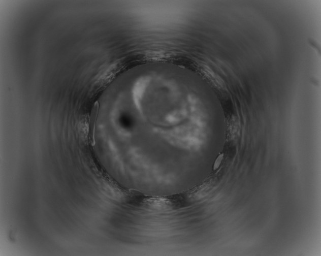 X0000091920427200709191343