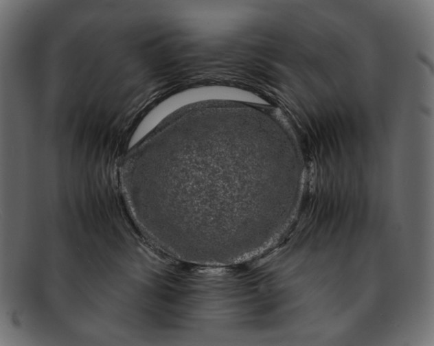 X0000091920428200709191343