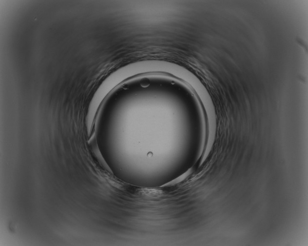 X0000091920429200709191343