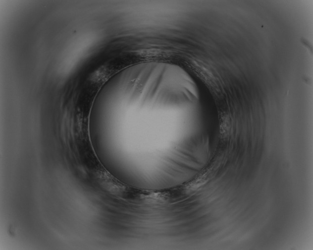 X0000091920430200709191343