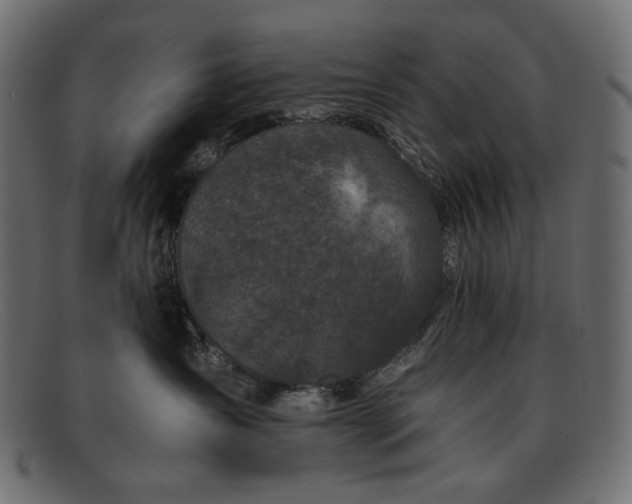 X0000091920431200709191343