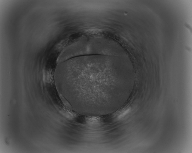 X0000091920432200709191343