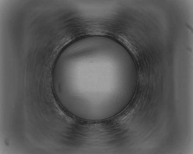 X0000091920433200709191342