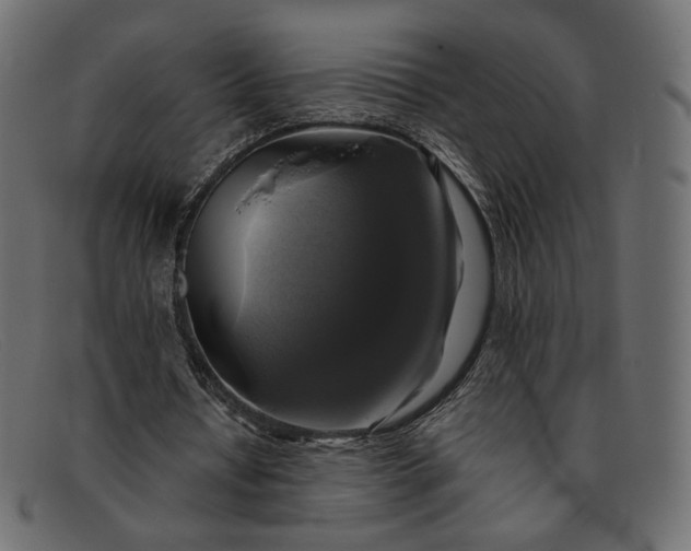 X0000091920434200709191342