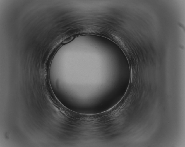 X0000091920435200709191342