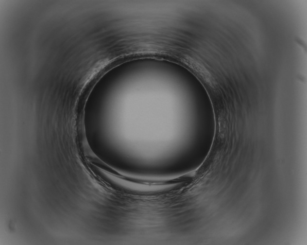 X0000091920436200709191342