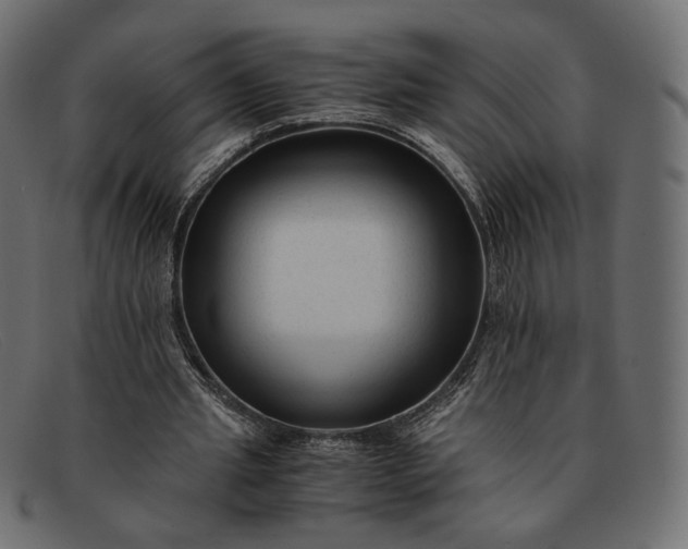 X0000091920437200709191343