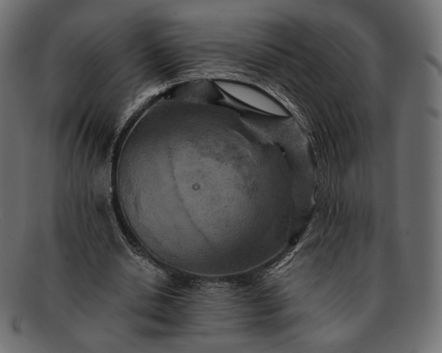 X0000091920438200709191343