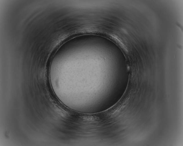 X0000091920439200709191343