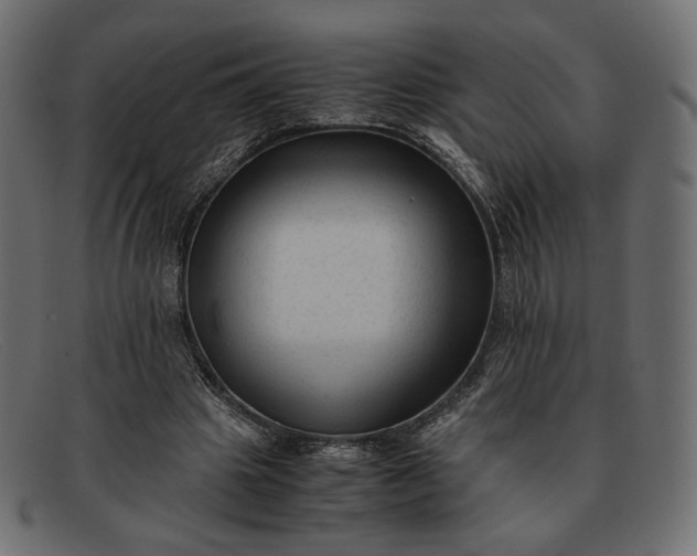 X0000091920441200709191343