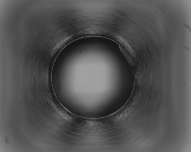 X0000091920442200709191343