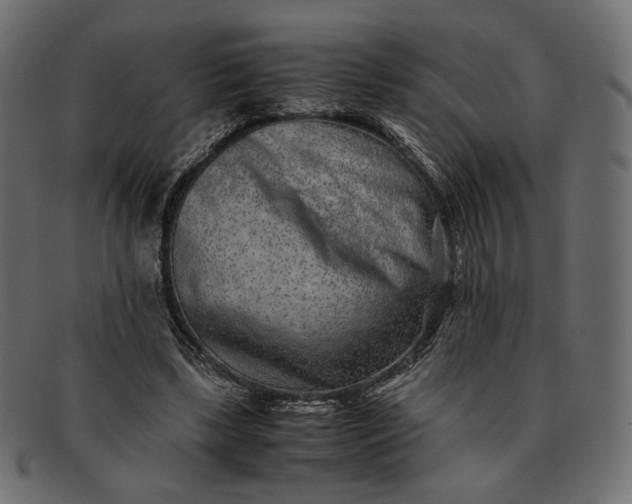 X0000091920443200709191343