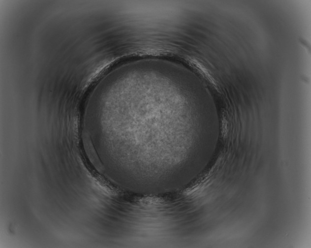 X0000091920444200709191343