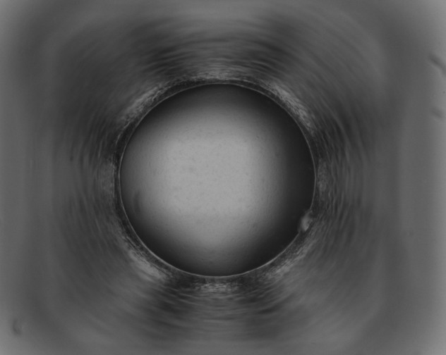 X0000091920445200709191343