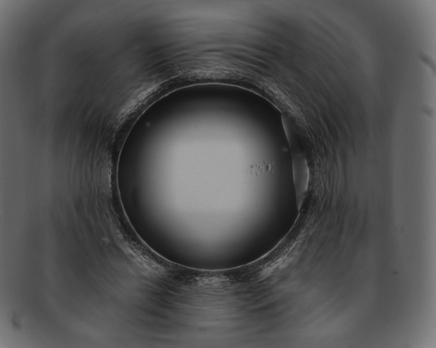 X0000091920446200709191343