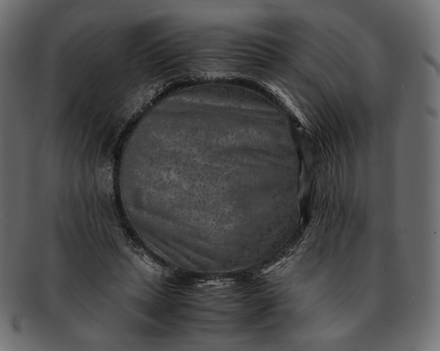 X0000091920447200709191343