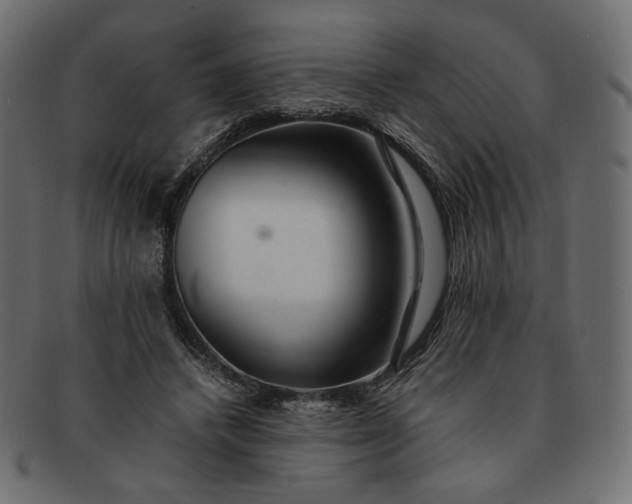 X0000091920448200709191343